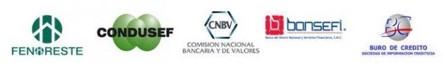 logos_de__cnbv_y_demas.JPG